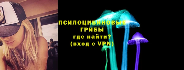 тгк Белокуриха