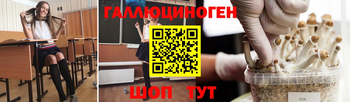Псилоцибиновые грибы GOLDEN TEACHER Саяногорск